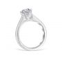 Delia Platinum Engagement Ring