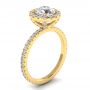 Amelia 14k Yellow Gold Halo Engagement Ring
