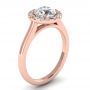 Allie 14k Rose Gold Halo Engagement Ring