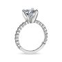 Newport Platinum Engagement Ring