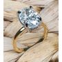 18K Yellow Gold and Platinum Hidden Halo Ring