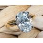 18K Yellow Gold and Platinum Hidden Halo Ring