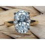 18K Yellow Gold and Platinum Hidden Halo Ring