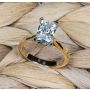 18K Yellow Gold Die-Struck Solitaire Ring