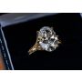 Yellow Gold Split Shank Ring with Tulip Setting