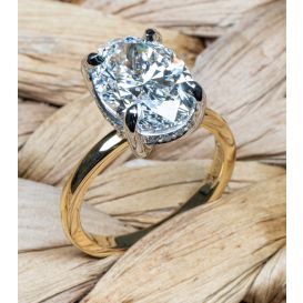18K Yellow Gold and Platinum Hidden Halo Ring