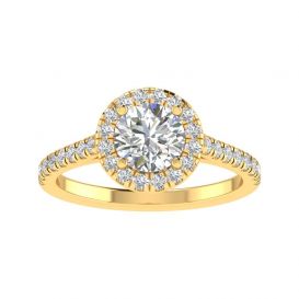 Alexandra 14k Yellow Gold Halo Engagement Ring